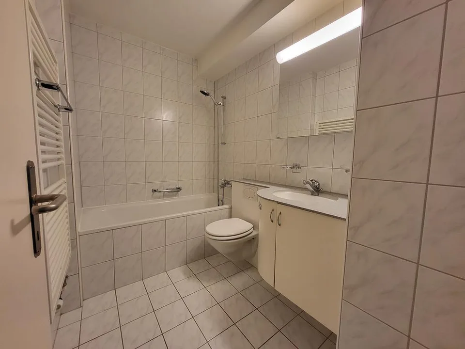 Appartement confortable à Altstetten