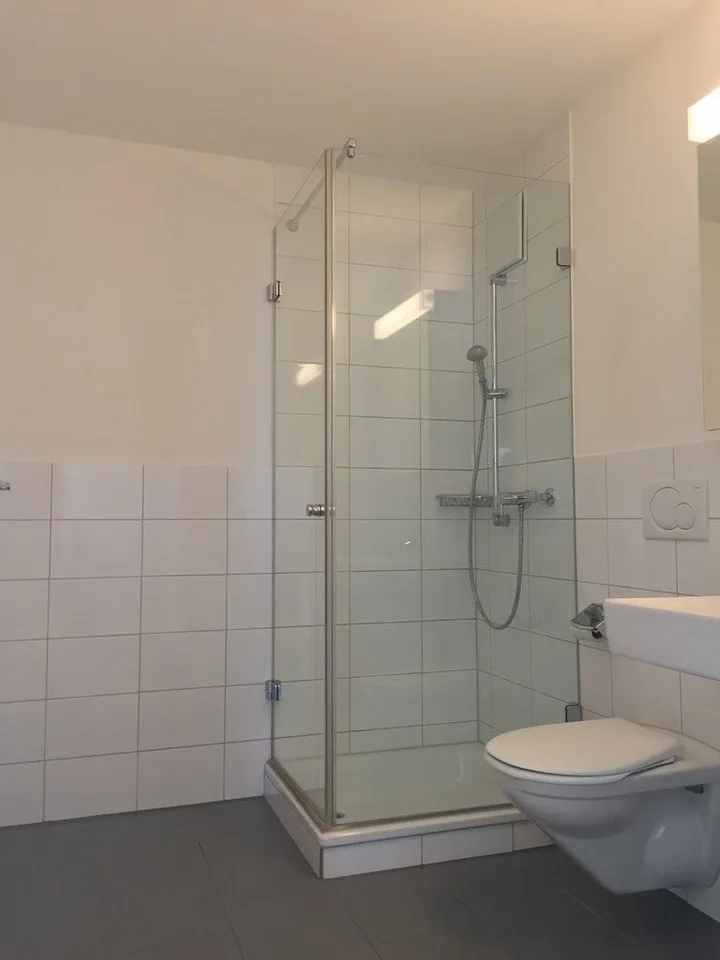 Wohnung in Frick gesucht?