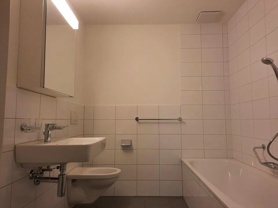 Wohnung in Frick gesucht?