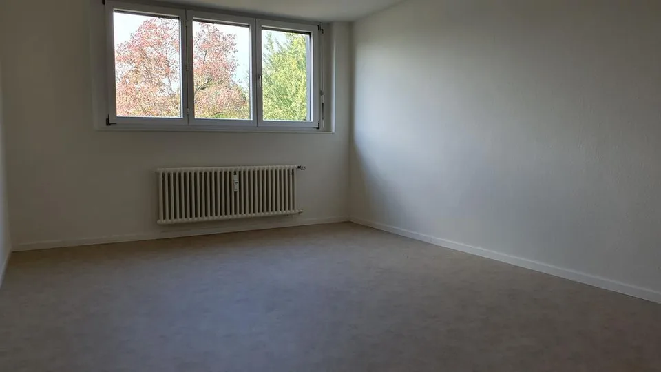 Mansarde dans un emplacement central à Pratteln
