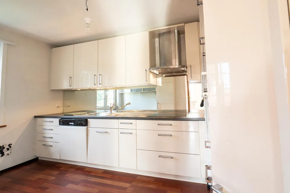 Charming single-family house in Lyss