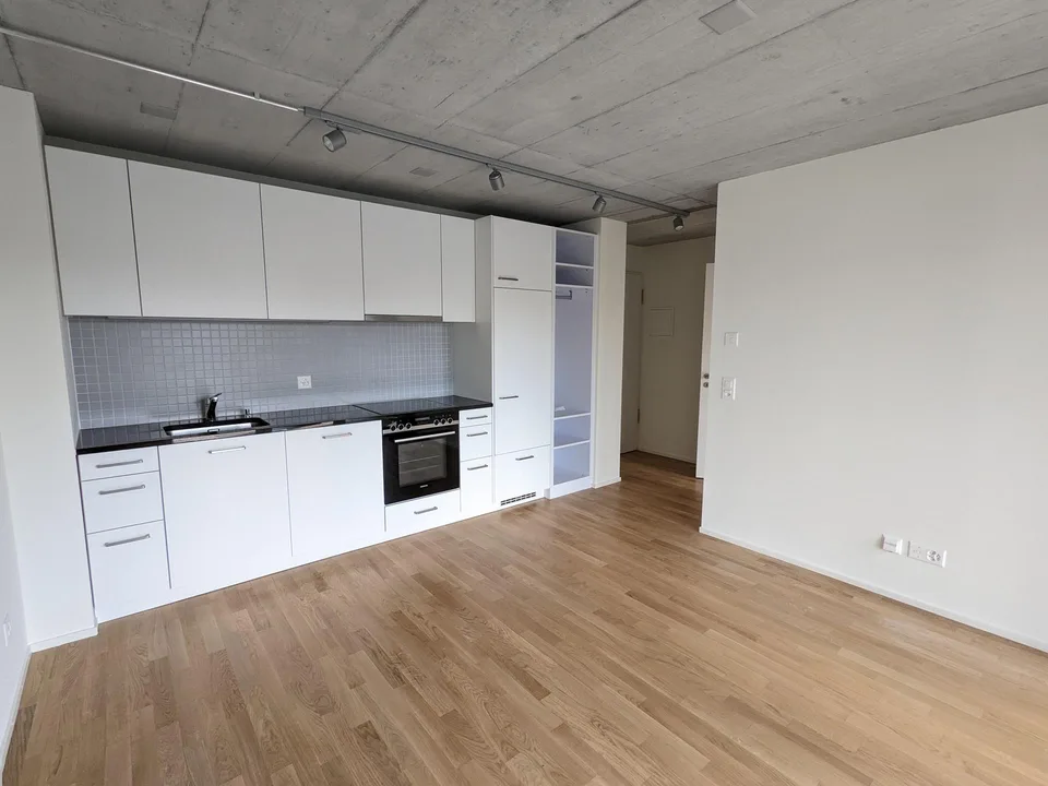 Topmoderne 3-Zi'Wohnung an der St. Jakob-Str. 110, Muttenz