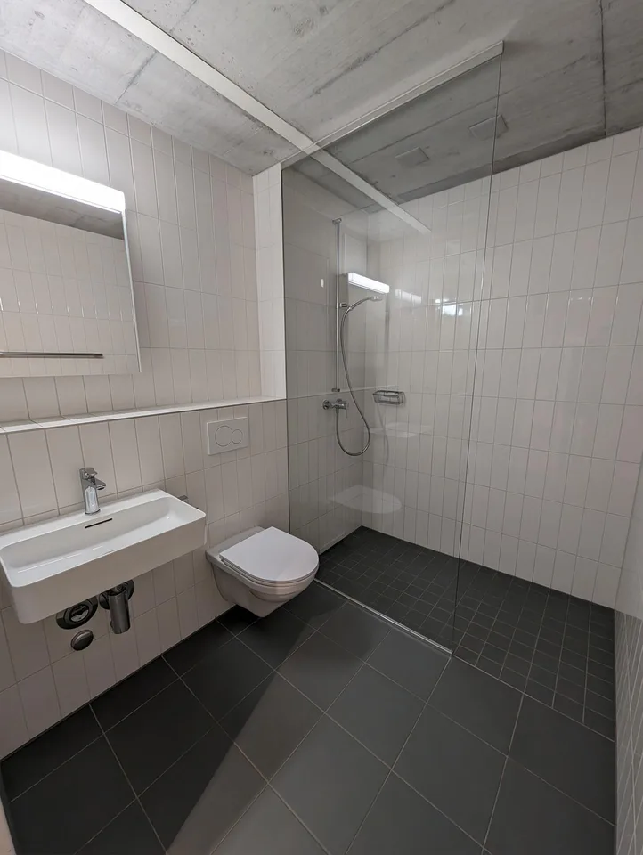 Topmoderne 3-Zi'Wohnung an der St. Jakob-Str. 110, Muttenz