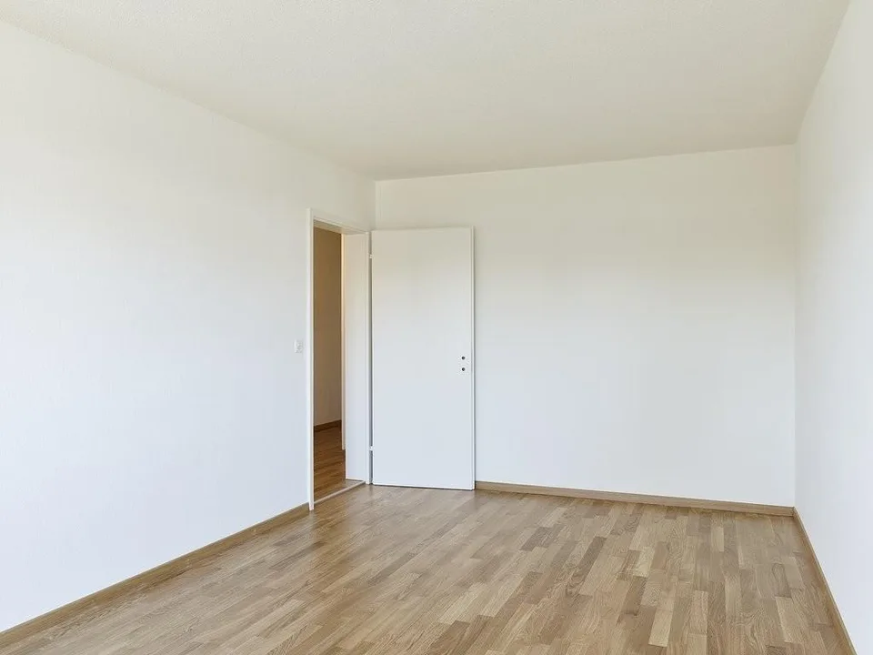 Über den Dächern von Wettingen