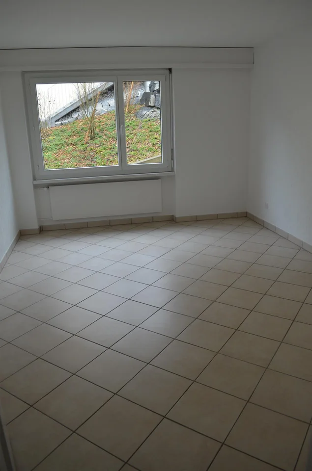 3.5 Zimmerwohnung mit schöner Aussicht