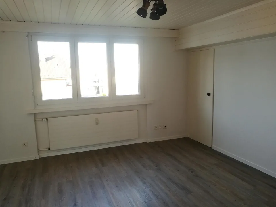 1 Zimmer Dachwohnung