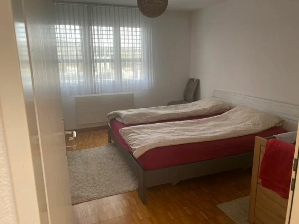 Cozy 3-room apartment