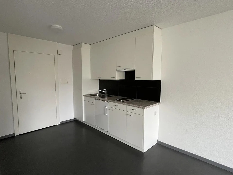 Geräumige 1-Zimmer Wohnung im Herzen von Emmenbrücke