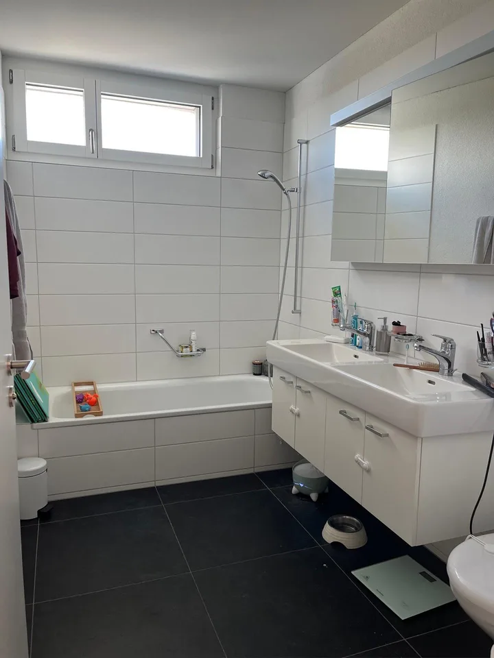 4.5 Zimmer-Wohnung am See im Eigentumsstandard