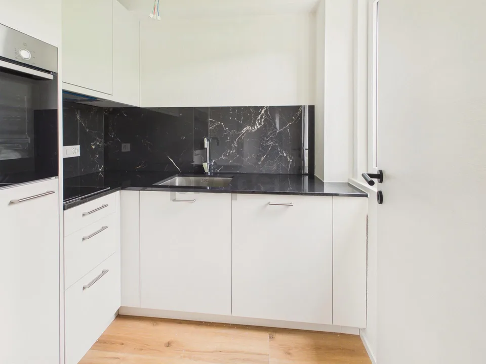 Erstbezug nach Renovation – Moderne 1.5-Zimmer-Wohnung mit Pilatusb...