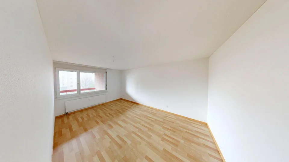 Cozy Single Apartment