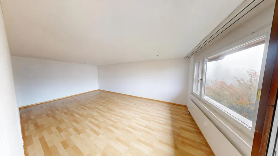 Cozy Single Apartment