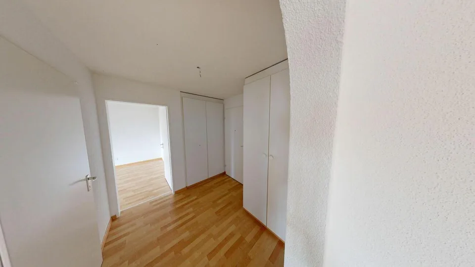 Cozy Single Apartment