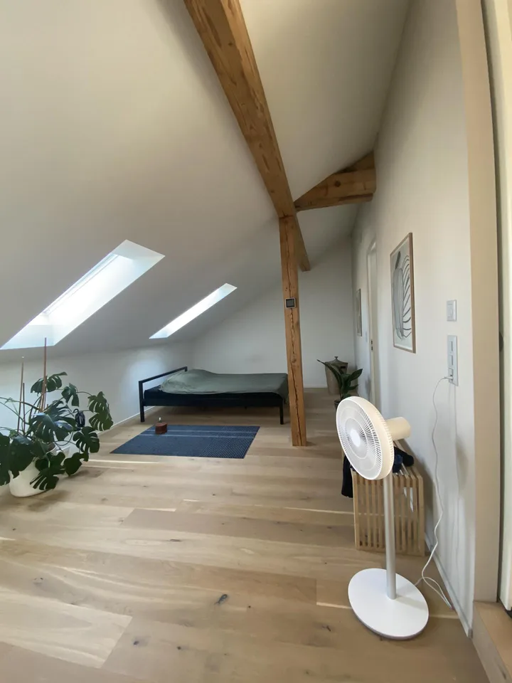 Appartement de charme sous les toits avec charme d'ancien bâtiment au cœur de Berne