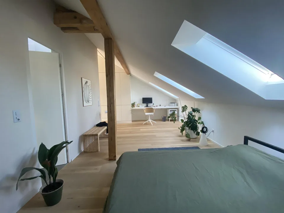 Appartement de charme sous les toits avec charme d'ancien bâtiment au cœur de Berne
