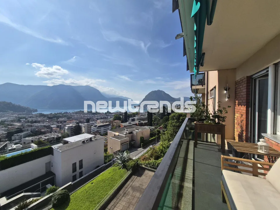 AFFITTASI LUMINOSO APPARTAMENTO 3.5 LOCALI CON SPLENDIDA VISTA LAGO