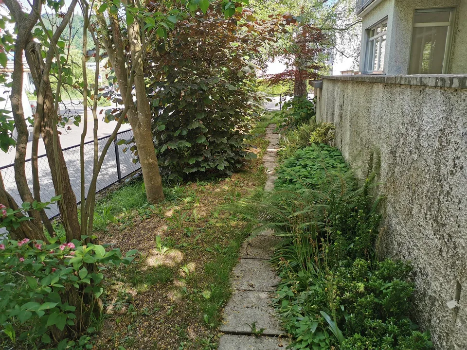 6.5 Zimmer - EFH mit schönem Garten in Töss