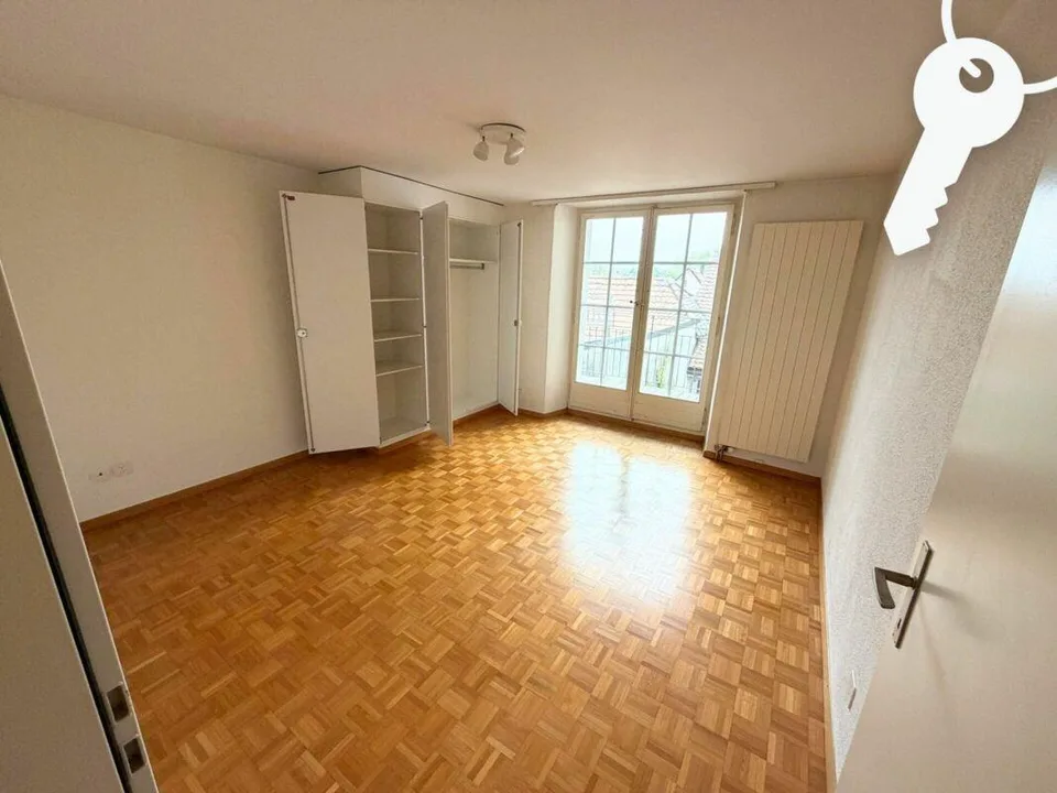 Godetevi il centro di Solothurn dall'alto