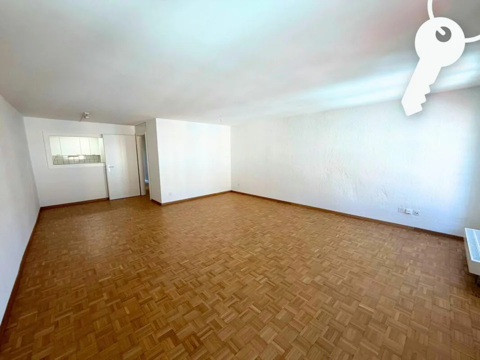 Godetevi il centro di Solothurn dall'alto
