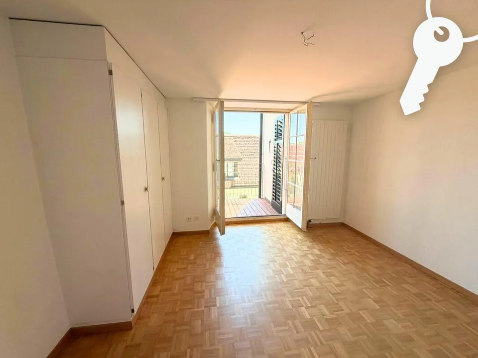 Godetevi il centro di Solothurn dall'alto