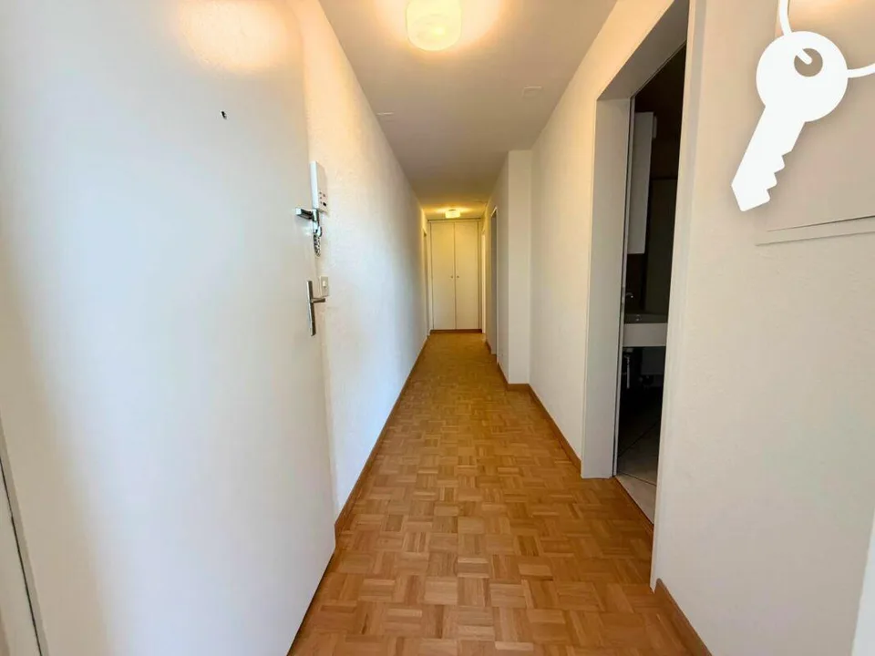 Godetevi il centro di Solothurn dall'alto