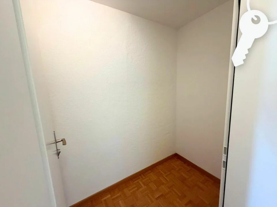 Godetevi il centro di Solothurn dall'alto