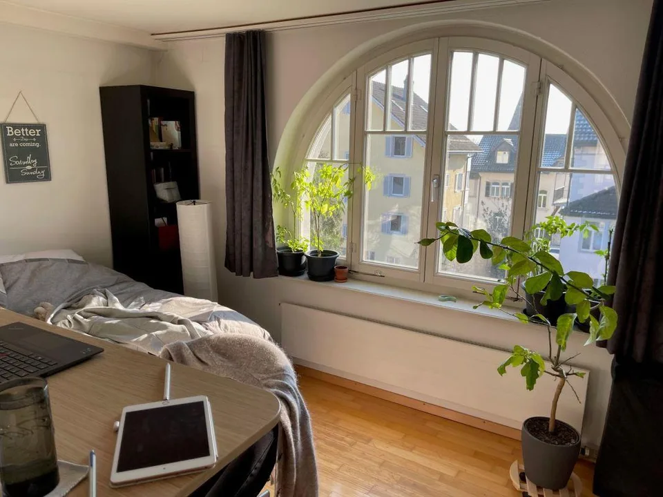 Charmante Wohnung in Mitten der Stadt Rapperswil sucht Sie!