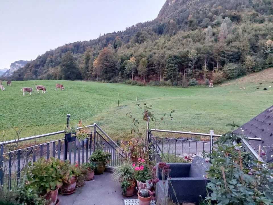 3-Zimmerwohnung im Grünen