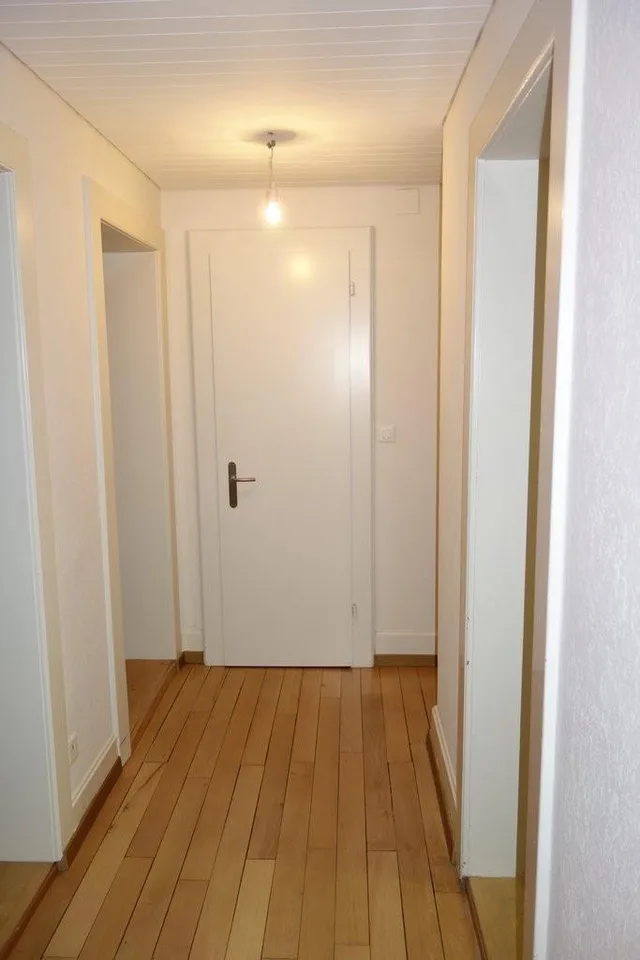 Affascinante appartamento in un edificio storico nel bel Wipkingen