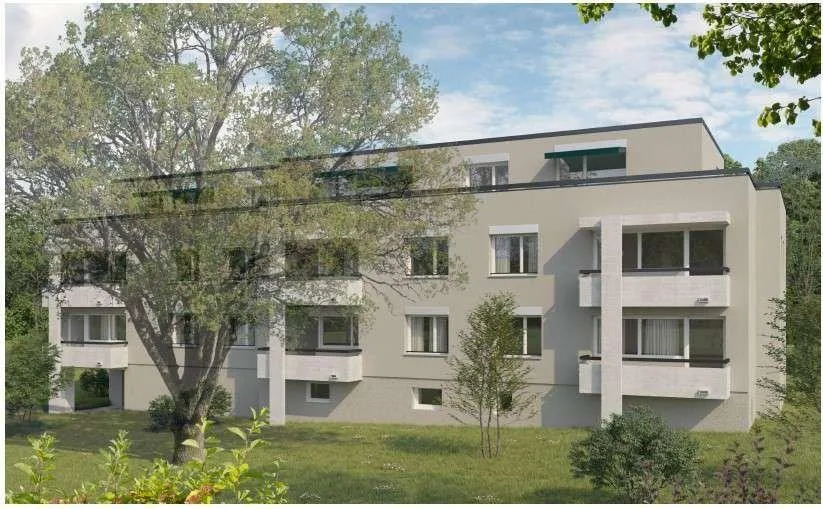 Wohntraum in Riehen nach umfassender Sanierung