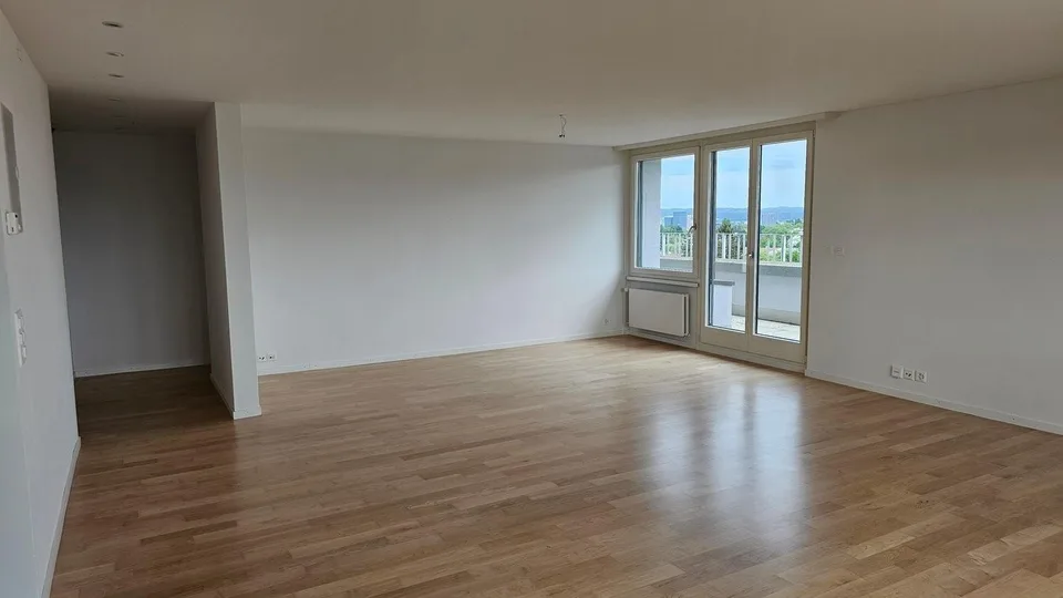 Gekühlte 3.5-Zimmer-Attikawohnung mit Blick über Zürich am Bucheggp...