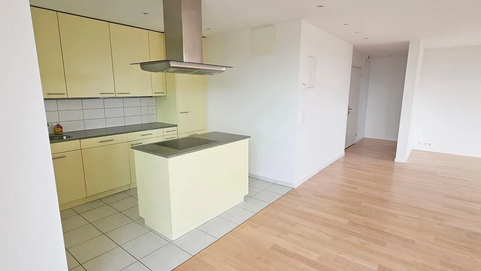 Gekühlte 3.5-Zimmer-Attikawohnung mit Blick über Zürich am Bucheggp...