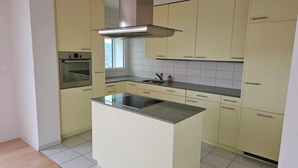 Gekühlte 3.5-Zimmer-Attikawohnung mit Blick über Zürich am Bucheggp...
