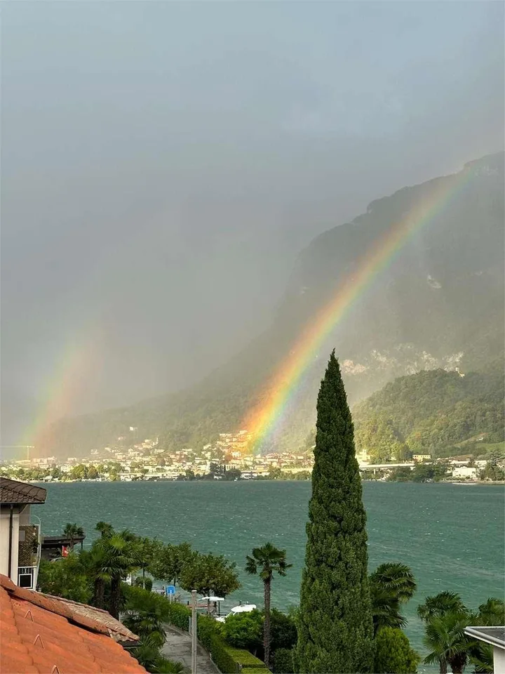 RIVA SAN VITALE - DUE APPARTAMENTI DIRETTAMENTE A LAGO CON MERAVIGLIOS