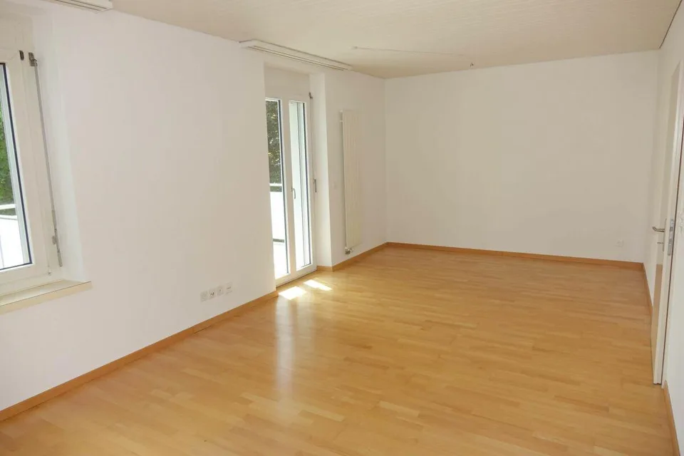Appartement fraîchement rénové avec grand balcon