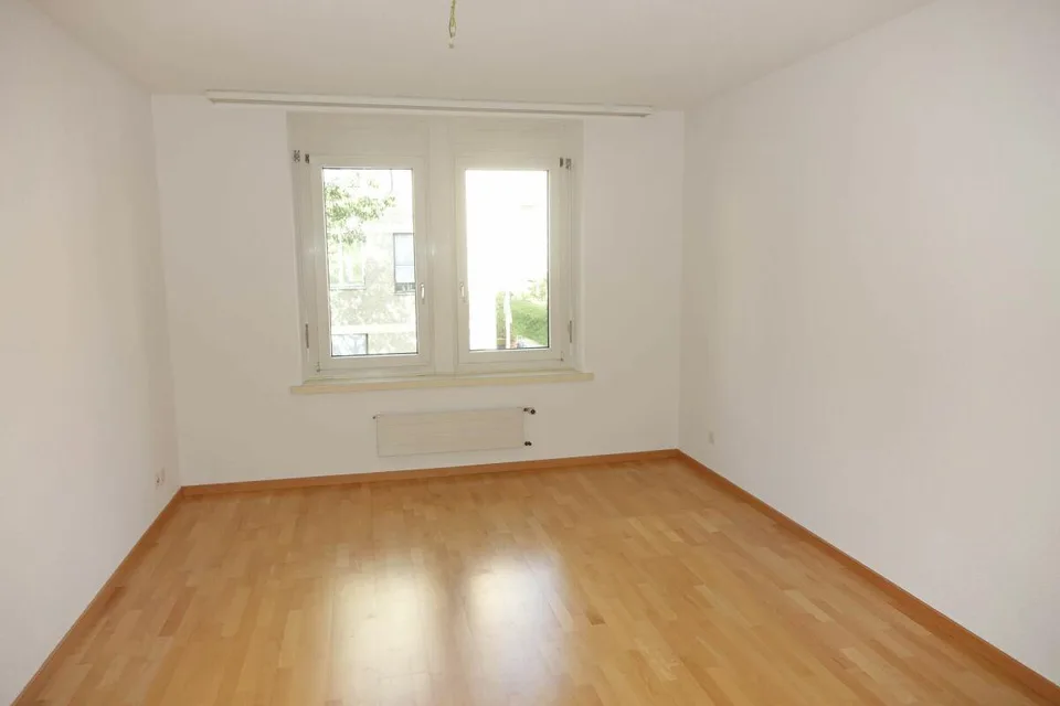 Appartement fraîchement rénové avec grand balcon
