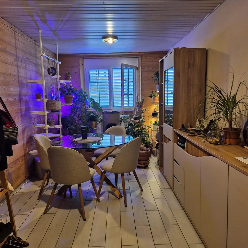 ST-GINGOLPH - BEL APPARTEMENT A LOUER