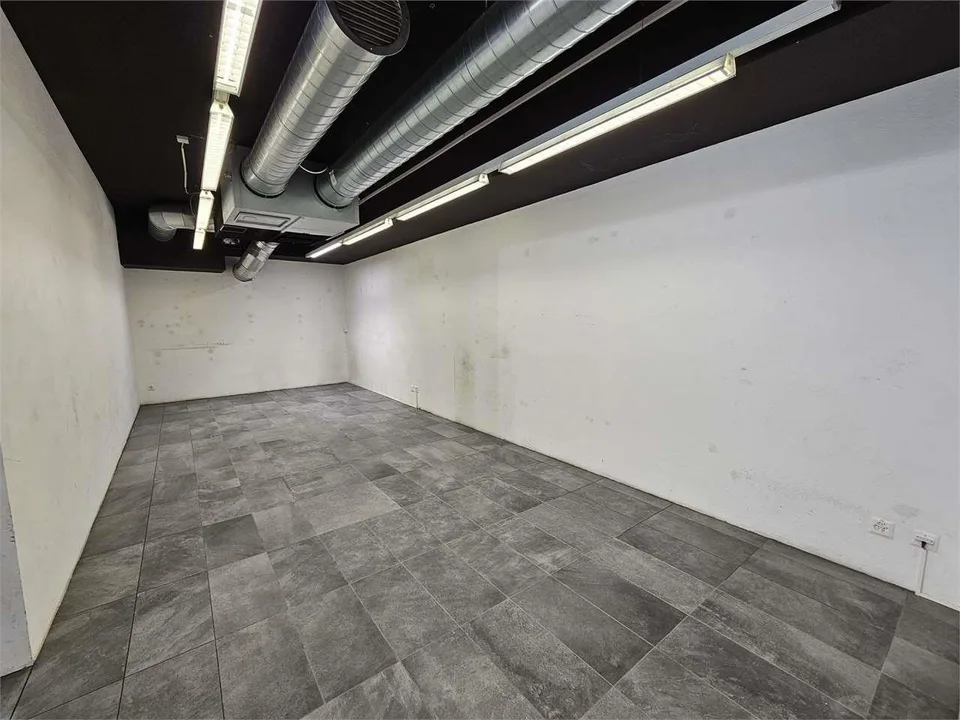 Büro- und Gewerbefläche zur Miete in Lugano