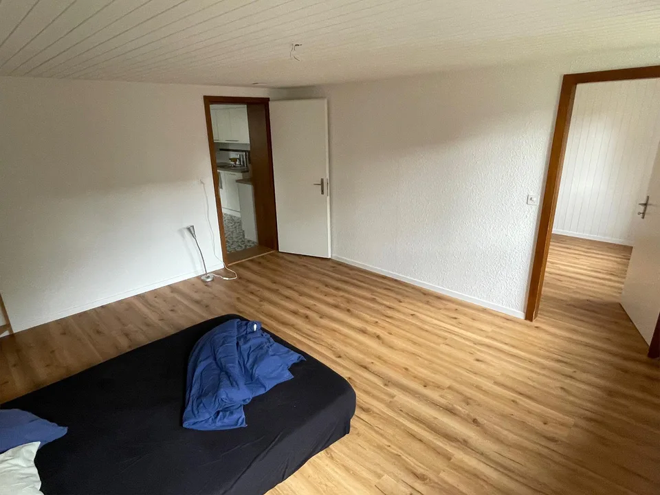 3 1/2 Zimmerwohnung