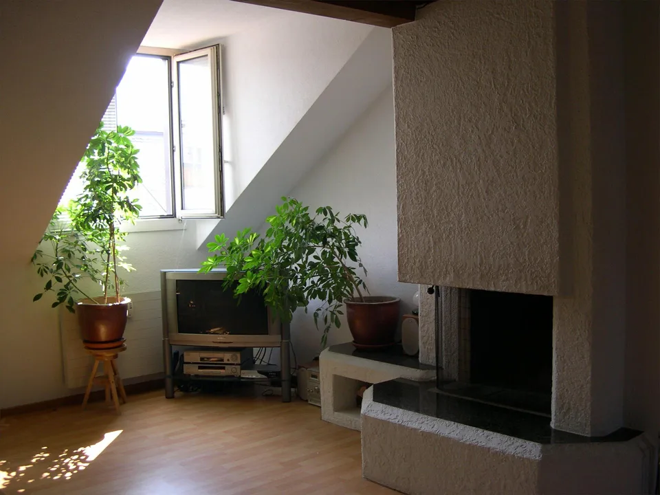 Gemütliche 2.5 Zimmer-Altbau-Dachwohnung