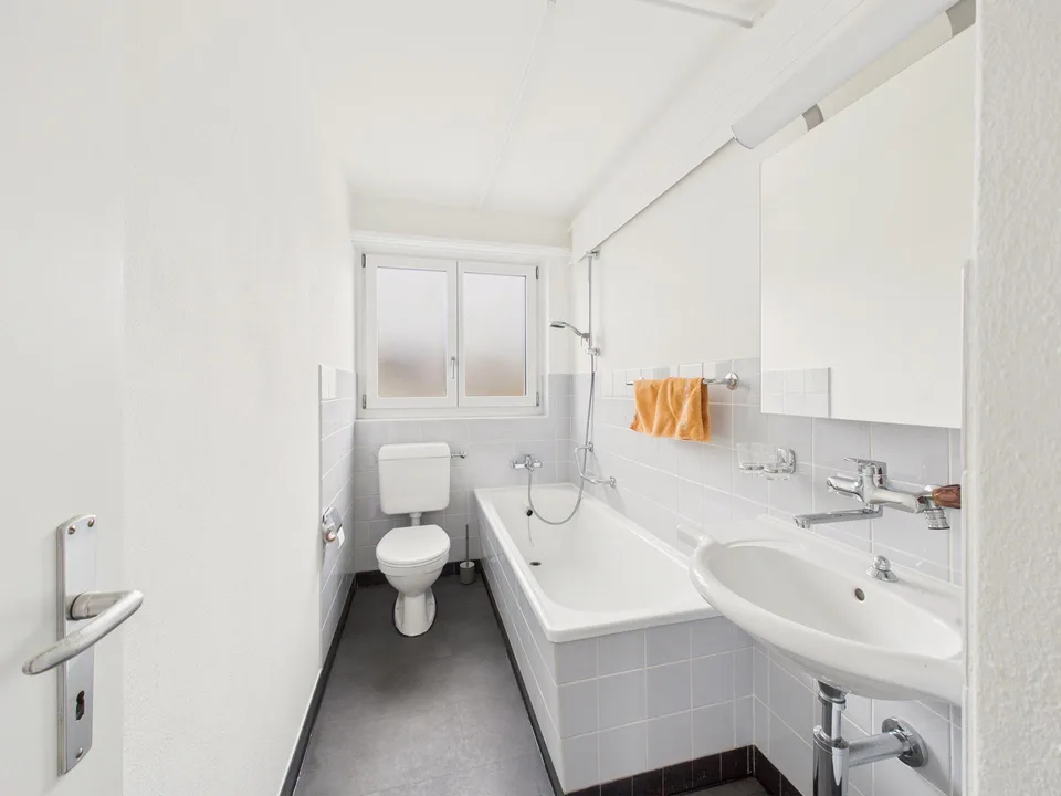 Charming 3.5 room apartment with sunny winter garden
