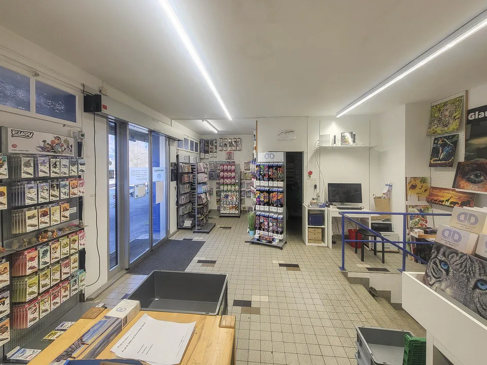 Einfamilienhaus mit Gewerbe und Schopf