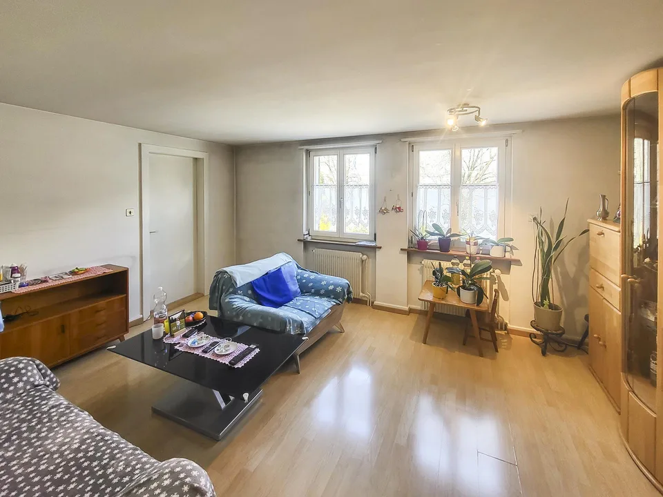 Einfamilienhaus mit Gewerbe und Schopf