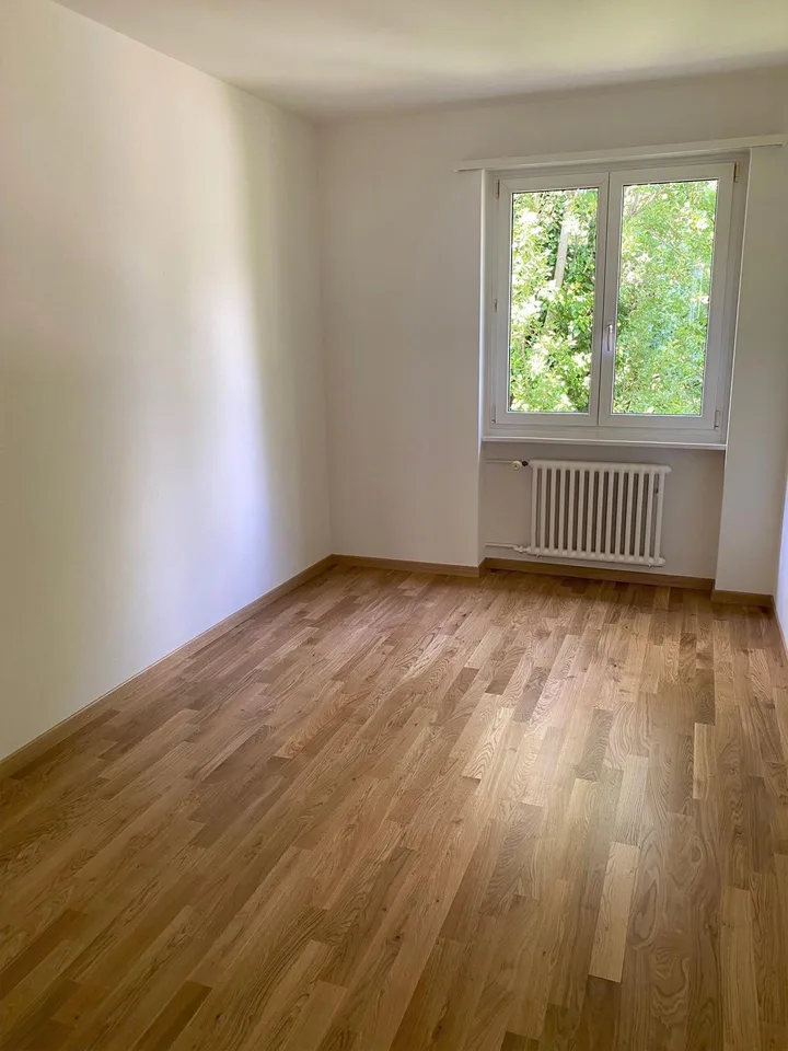 3.0 Zimmerwohnung in Winterthur