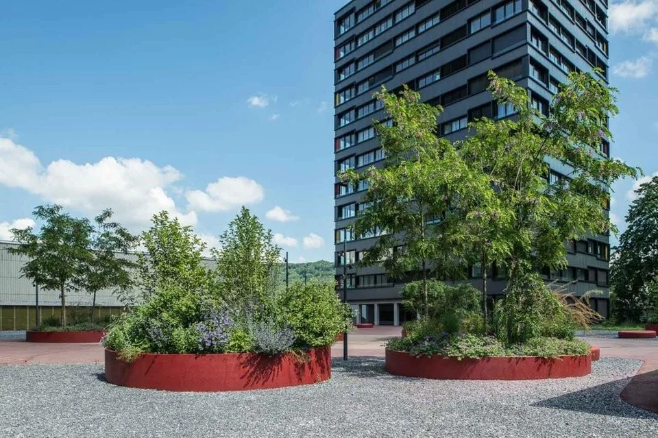 Mitten in der Stadt und doch im Grünen!