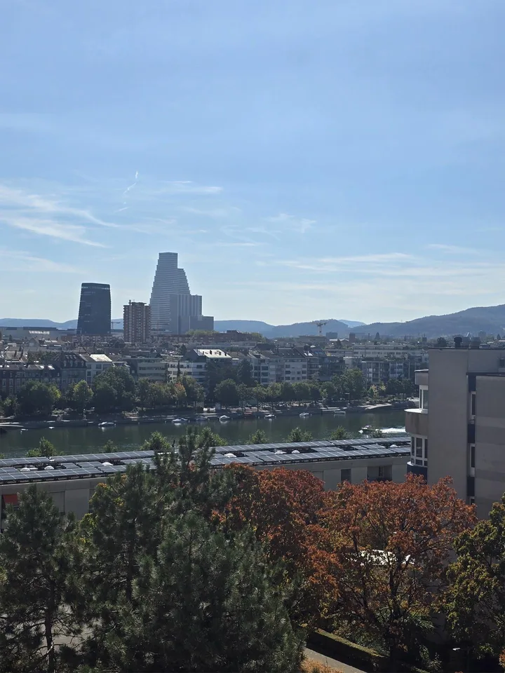 2 1/2 Zimmerwohnung mit Rheinblick und Lift