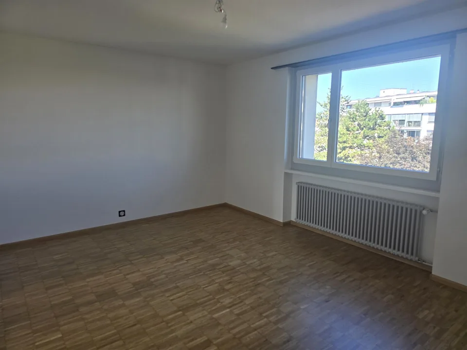2 1/2 Zimmerwohnung mit Rheinblick und Lift