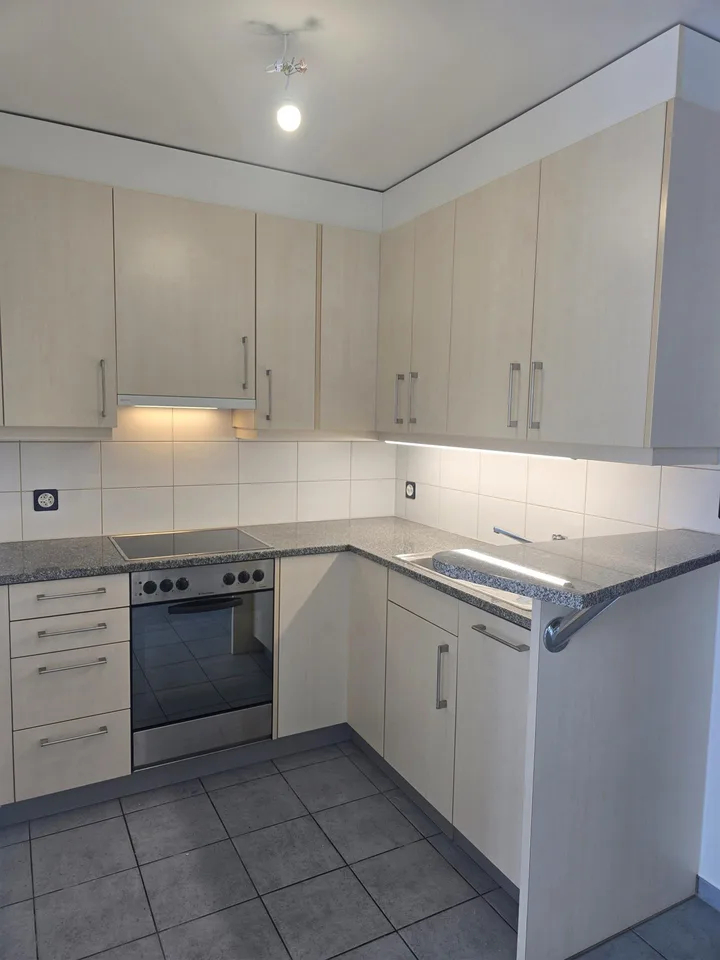 2 1/2 Zimmerwohnung mit Rheinblick und Lift
