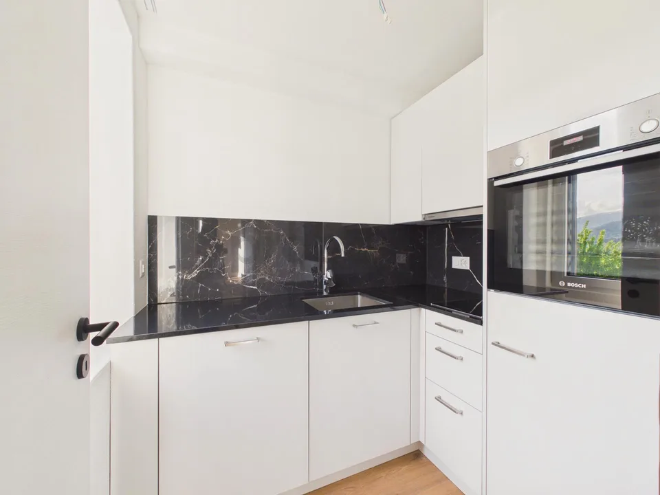 Neu renovierte 2.5-Zimmer-Wohnung mit Balkon, Luzern