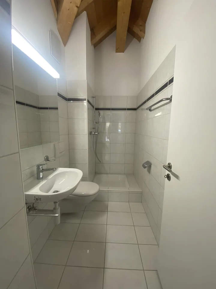 sonnige 4 1/2-Zimmer-Dachwohnung